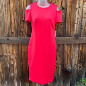 Calvin Klein Sheath Dress